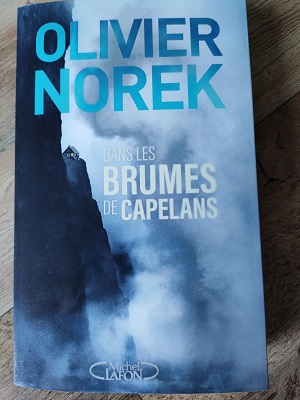 Olivier Norek, Les brumes de capelans
